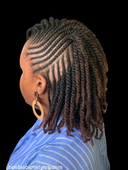 Two Strand Twist